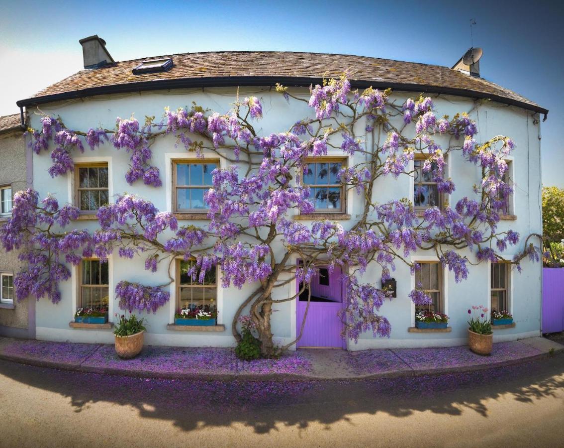 Deerpark Cottage, Inistioge, Kilkenny Zewnętrze zdjęcie
